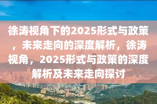 徐濤視角下的2025形式與政策，未來走向的深度解析，徐濤視角，2025形式與政策的深度解析及未來走向探討