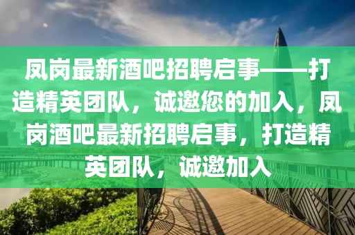 鳳崗最新酒吧招聘啟事——打造精英團隊，誠邀您的加入，鳳崗酒吧最新招聘啟事，打造精英團隊，誠邀加入