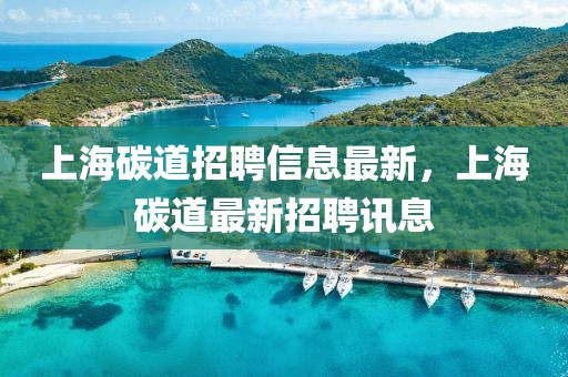 上海碳道招聘信息最新，上海碳道最新招聘訊息