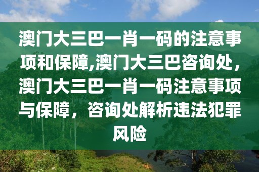 澳門大三巴一肖一碼的注意事項和保障,澳門大三巴咨詢處，澳門大三巴一肖一碼注意事項與保障，咨詢處解析違法犯罪風(fēng)險