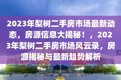 2023年梨樹二手房市場最新動態(tài)，房源信息大揭秘！，2023年梨樹二手房市場風云錄，房源揭秘與最新趨勢解析