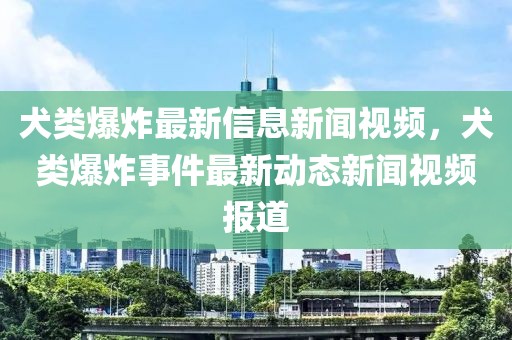 犬類爆炸最新信息新聞視頻，犬類爆炸事件最新動態(tài)新聞視頻報道