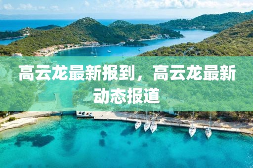 高云龍最新報到，高云龍最新動態(tài)報道