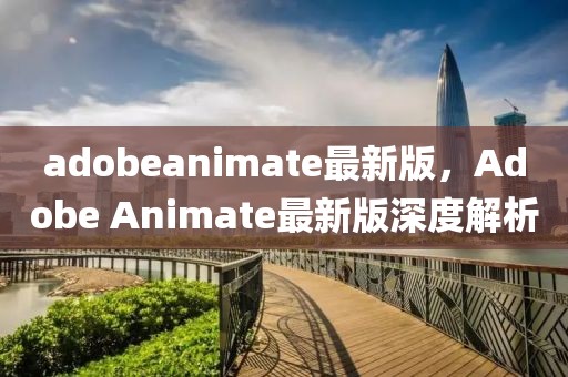 adobeanimate最新版，Adobe Animate最新版深度解析