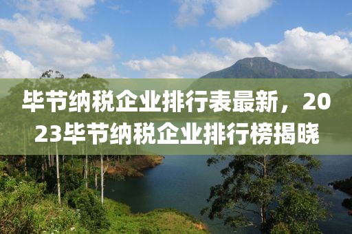 畢節(jié)納稅企業(yè)排行表最新，2023畢節(jié)納稅企業(yè)排行榜揭曉