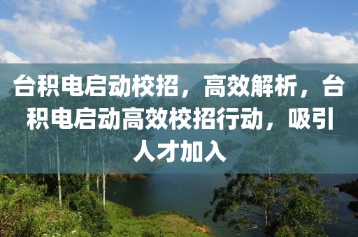 臺積電啟動校招，高效解析，臺積電啟動高效校招行動，吸引人才加入