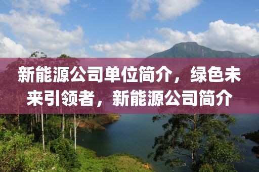 新能源公司單位簡介，綠色未來引領(lǐng)者，新能源公司簡介