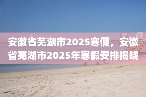 安徽省蕪湖市2025寒假，安徽省蕪湖市2025年寒假安排揭曉