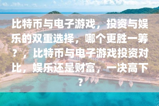 比特幣與電子游戲，投資與娛樂的雙重選擇，哪個(gè)更勝一籌？，比特幣與電子游戲投資對(duì)比，娛樂還是財(cái)富，一決高下？