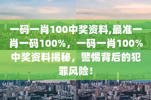 一碼一肖100中獎資料,最準一肖一碼100%，一碼一肖100%中獎資料揭秘，警惕背后的犯罪風險！