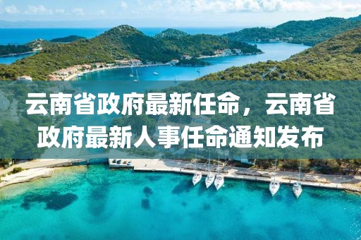 云南省政府最新任命，云南省政府最新人事任命通知發(fā)布