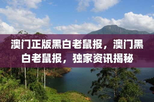 澳門正版黑白老鼠報，澳門黑白老鼠報，獨家資訊揭秘