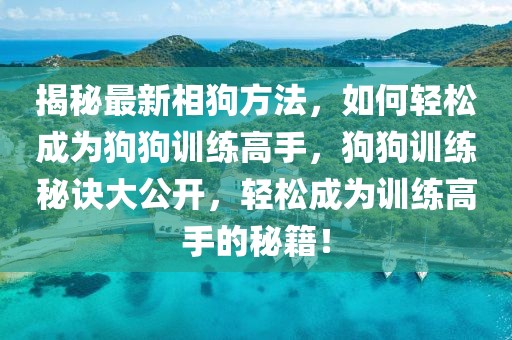 揭秘最新相狗方法，如何輕松成為狗狗訓練高手，狗狗訓練秘訣大公開，輕松成為訓練高手的秘籍！