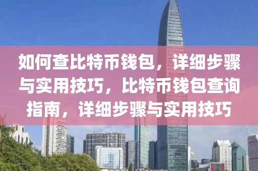 如何查比特幣錢包，詳細步驟與實用技巧，比特幣錢包查詢指南，詳細步驟與實用技巧