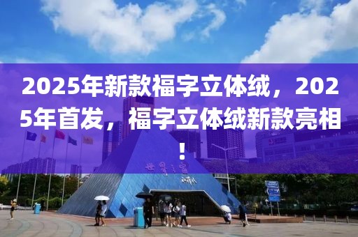 2025年新款福字立體絨，2025年首發(fā)，福字立體絨新款亮相！