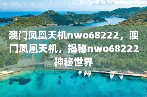 澳門鳳凰天機nwo68222，澳門鳳凰天機，揭秘nwo68222神秘世界