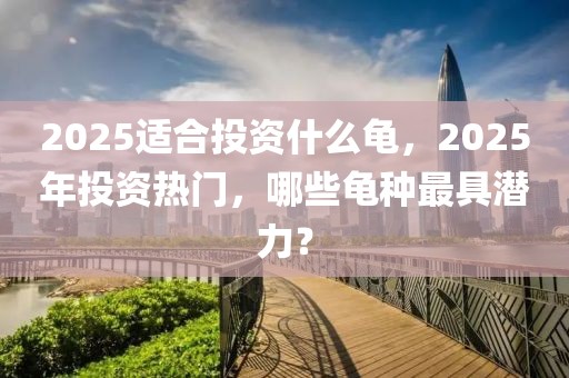 2025適合投資什么龜，2025年投資熱門，哪些龜種最具潛力？