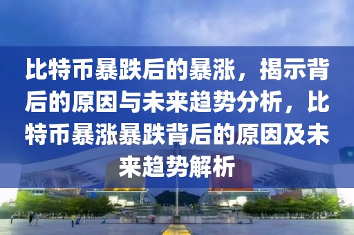 比特幣暴跌后的暴漲，揭示背后的原因與未來趨勢分析，比特幣暴漲暴跌背后的原因及未來趨勢解析