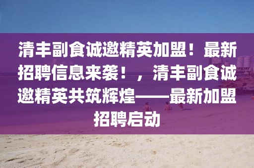 清豐副食誠邀精英加盟！最新招聘信息來襲！，清豐副食誠邀精英共筑輝煌——最新加盟招聘啟動