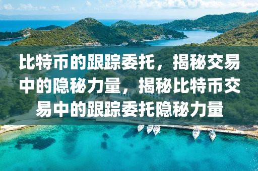 比特幣的跟蹤委托，揭秘交易中的隱秘力量，揭秘比特幣交易中的跟蹤委托隱秘力量