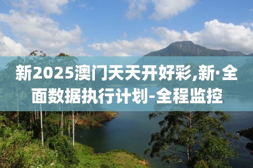 新2025澳門天天開好彩,新·全面數據執(zhí)行計劃-全程監(jiān)控