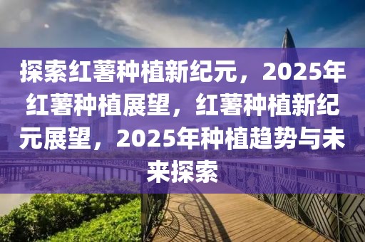 探索紅薯種植新紀(jì)元，2025年紅薯種植展望，紅薯種植新紀(jì)元展望，2025年種植趨勢與未來探索