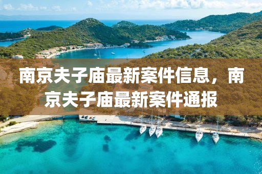 南京夫子廟最新案件信息，南京夫子廟最新案件通報