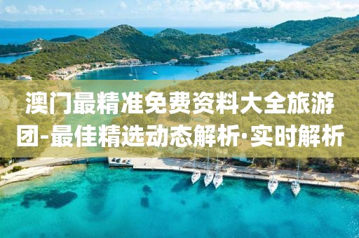 澳門最精準免費資料大全旅游團-最佳精選動態(tài)解析·實時解析