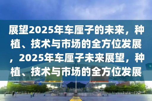 展望2025年車厘子的未來，種植、技術(shù)與市場的全方位發(fā)展，2025年車厘子未來展望，種植、技術(shù)與市場的全方位發(fā)展