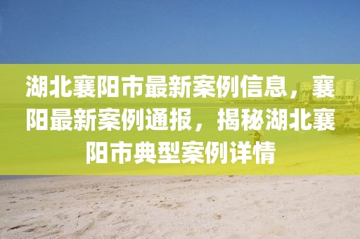 湖北襄陽市最新案例信息，襄陽最新案例通報，揭秘湖北襄陽市典型案例詳情