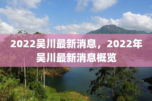 2022吳川最新消息，2022年吳川最新消息概覽