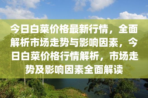 今日白菜價格最新行情，全面解析市場走勢與影響因素，今日白菜價格行情解析，市場走勢及影響因素全面解讀