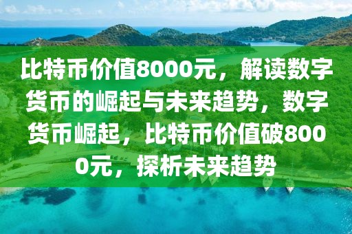 比特幣價值8000元，解讀數字貨幣的崛起與未來趨勢，數字貨幣崛起，比特幣價值破8000元，探析未來趨勢