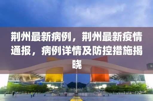 荊州最新病例，荊州最新疫情通報，病例詳情及防控措施揭曉