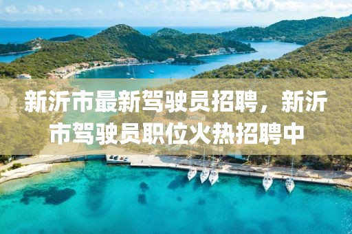 新沂市最新駕駛員招聘，新沂市駕駛員職位火熱招聘中