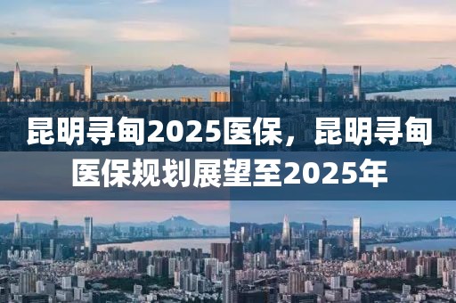 昆明尋甸2025醫(yī)保，昆明尋甸醫(yī)保規(guī)劃展望至2025年