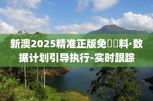 新澳2025精準(zhǔn)正版免費(fèi)資料·數(shù)據(jù)計(jì)劃引導(dǎo)執(zhí)行-實(shí)時(shí)跟蹤