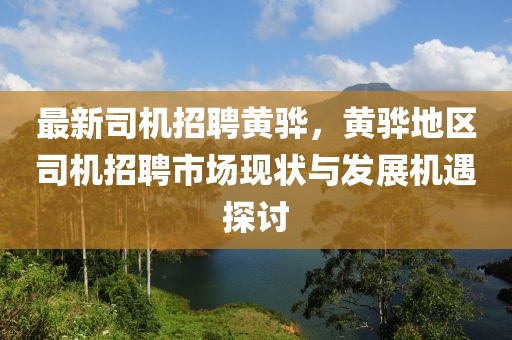 最新司機(jī)招聘黃驊，黃驊地區(qū)司機(jī)招聘市場現(xiàn)狀與發(fā)展機(jī)遇探討