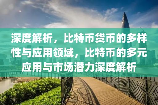 深度解析，比特幣貨幣的多樣性與應(yīng)用領(lǐng)域，比特幣的多元應(yīng)用與市場(chǎng)潛力深度解析