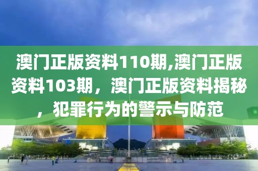 澳門正版資料110期,澳門正版資料103期，澳門正版資料揭秘，犯罪行為的警示與防范