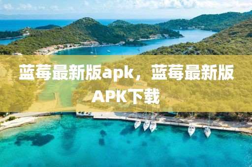 藍莓最新版apk，藍莓最新版APK下載