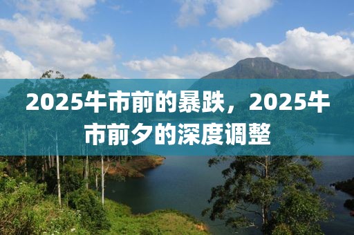 2025牛市前的暴跌，2025牛市前夕的深度調(diào)整