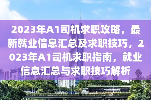 2023年A1司機求職攻略，最新就業(yè)信息匯總及求職技巧，2023年A1司機求職指南，就業(yè)信息匯總與求職技巧解析