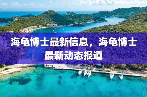 海龜博士最新信息，海龜博士最新動態(tài)報道