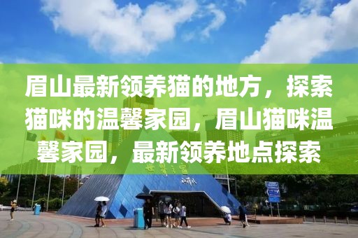 眉山最新領(lǐng)養(yǎng)貓的地方，探索貓咪的溫馨家園，眉山貓咪溫馨家園，最新領(lǐng)養(yǎng)地點探索