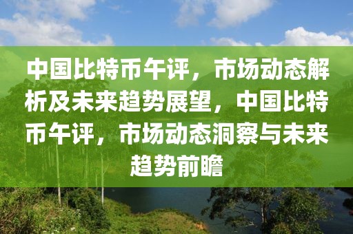 中國(guó)比特幣午評(píng)，市場(chǎng)動(dòng)態(tài)解析及未來趨勢(shì)展望，中國(guó)比特幣午評(píng)，市場(chǎng)動(dòng)態(tài)洞察與未來趨勢(shì)前瞻