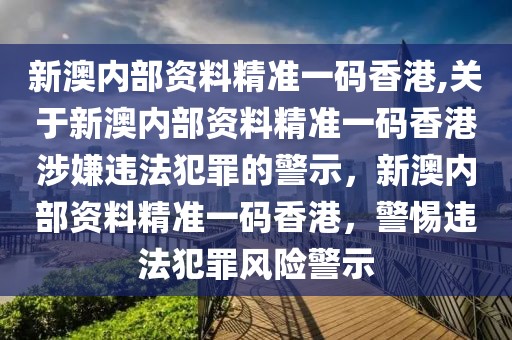 新澳內(nèi)部資料精準(zhǔn)一碼香港,關(guān)于新澳內(nèi)部資料精準(zhǔn)一碼香港涉嫌違法犯罪的警示，新澳內(nèi)部資料精準(zhǔn)一碼香港，警惕違法犯罪風(fēng)險(xiǎn)警示