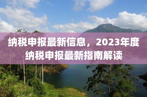 納稅申報最新信息，2023年度納稅申報最新指南解讀