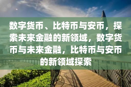 數(shù)字貨幣、比特幣與安幣，探索未來金融的新領(lǐng)域，數(shù)字貨幣與未來金融，比特幣與安幣的新領(lǐng)域探索