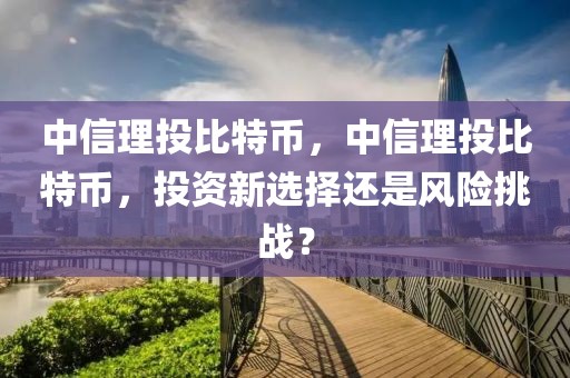 中信理投比特幣，中信理投比特幣，投資新選擇還是風(fēng)險(xiǎn)挑戰(zhàn)？